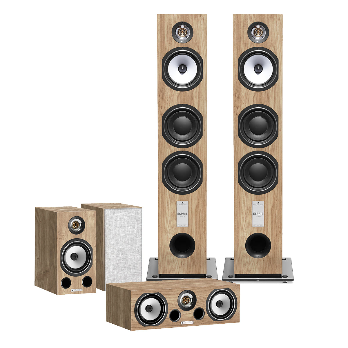 Vends paire enceintes Triangle ANTAL ES 120w bon état + NOXA minor ES 80w 500 - Photo, audio & vidéo